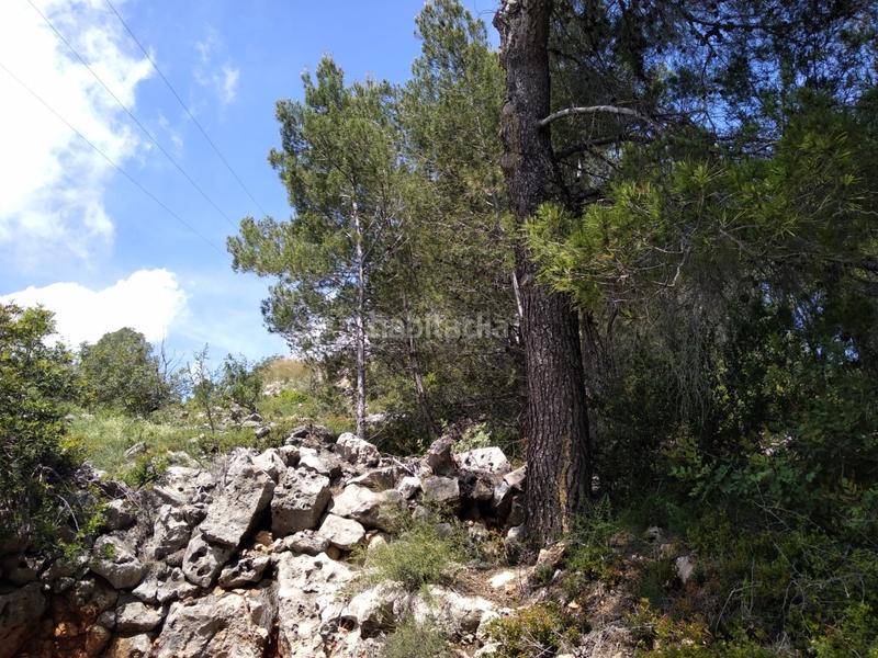 Foto 6b1724b3-799f-4173-8491-9103c6e87577. Wohngrundstück in urb penyal dels toçals 1 in Potríes