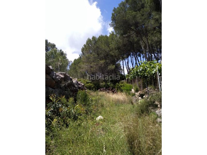 Foto b9e128f2-99f4-45cc-9dcd-371b6014cbbb. Wohngrundstück in urb penyal dels toçals 1 in Potríes