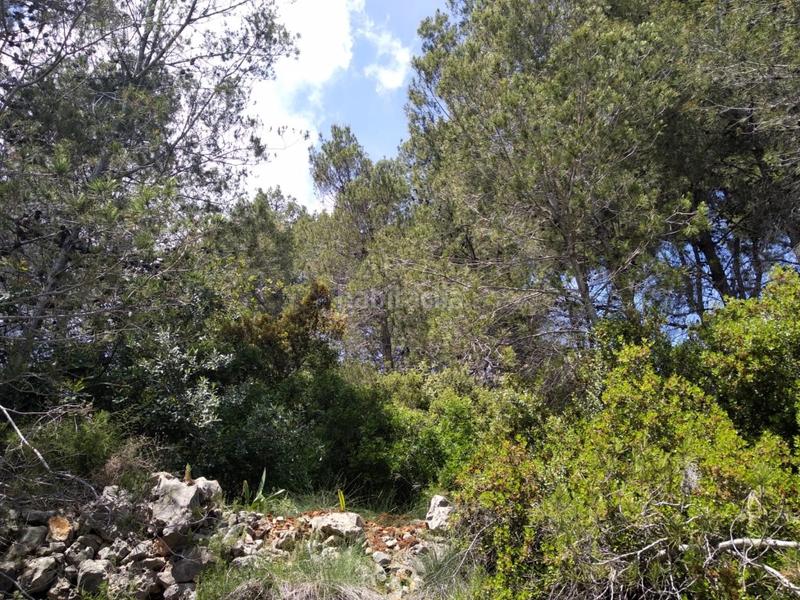 Foto c746778b-cd70-4c48-be23-a8bd29d032cb. Wohngrundstück in urb penyal dels toçals 1 in Potríes