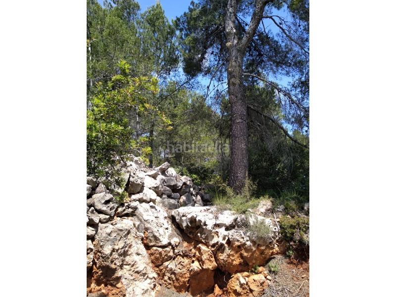 Foto f3fba770-4a6f-416e-b950-758b7daff790. Wohngrundstück in urb penyal dels toçals 1 in Potríes