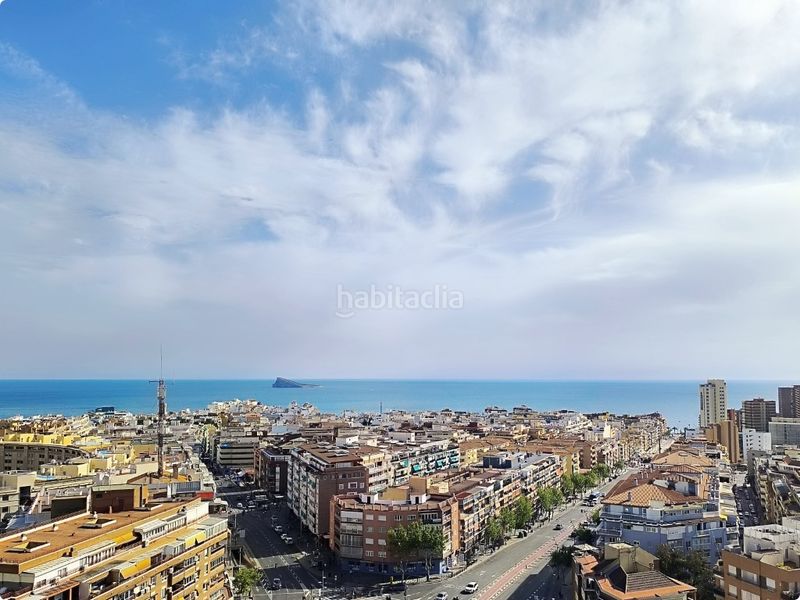 Foto 6a913d46-c5e5-46a5-848a-8636790716b0. Estudi a Colonia Madrid Benidorm
