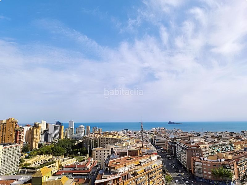 Foto ce099a4d-132a-425d-bf52-5bd28625a404. Estudi a Colonia Madrid Benidorm