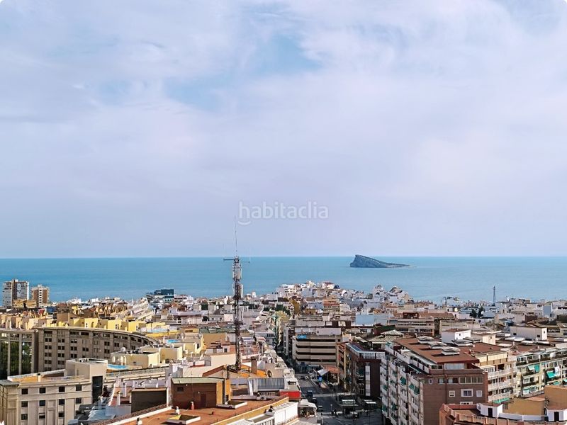 Foto e9a2a7f1-50fa-4501-83d1-2bfadc2f7356. Estudi a Colonia Madrid Benidorm