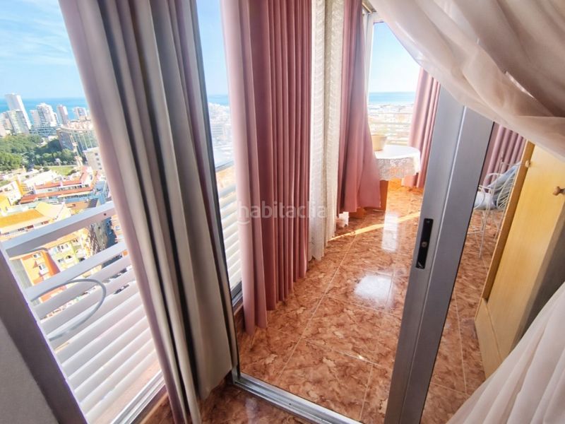 Foto f9395d80-22a2-48e5-8184-d19640cd0b8a. Estudi a Colonia Madrid Benidorm