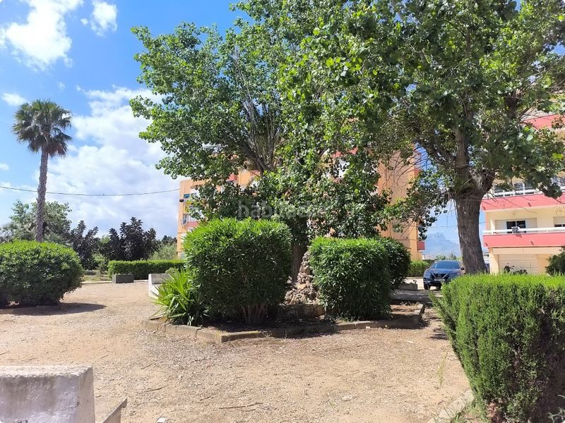 Foto 4c67aef0-f3fb-427e-9a00-d6f7202a84e6. Estudi amb aparcament a El Palmar - Los Molinos Dénia