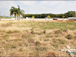 Terreny residencial a Avinguda de miramar 5. Terreno urbano en playa miramar