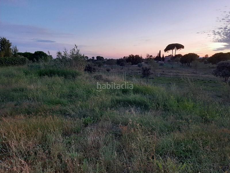 Foto 08f4f595-774c-461c-afe5-5a71bb95a4d1. Terrain résidentiel dans Ponent Reus