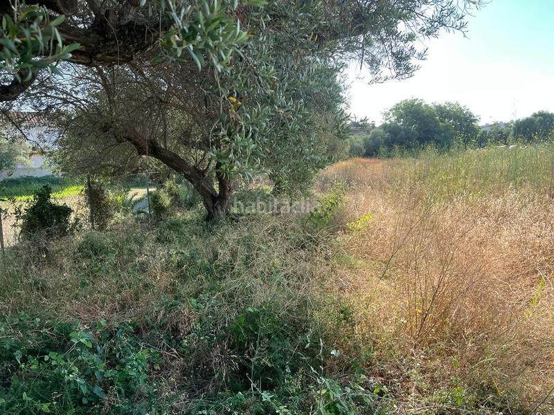 Foto 20c4aac0-d773-43eb-b8c8-6f6bf50daf58. Terreny residencial a Port - Horta de Santa Maria Cambrils