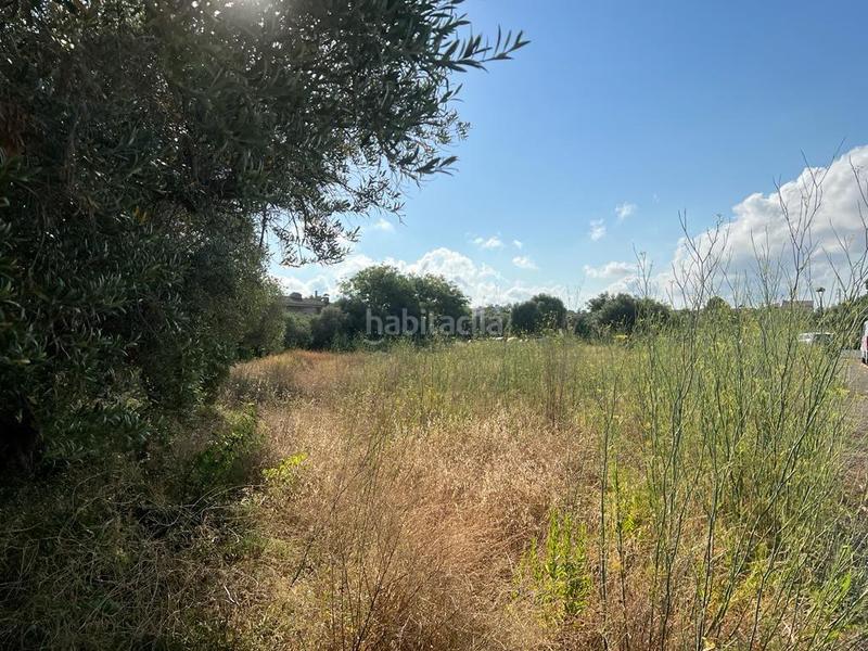 Foto 581c5318-8f13-40ac-8809-34d549cfc0a5. Terreny residencial a Port - Horta de Santa Maria Cambrils
