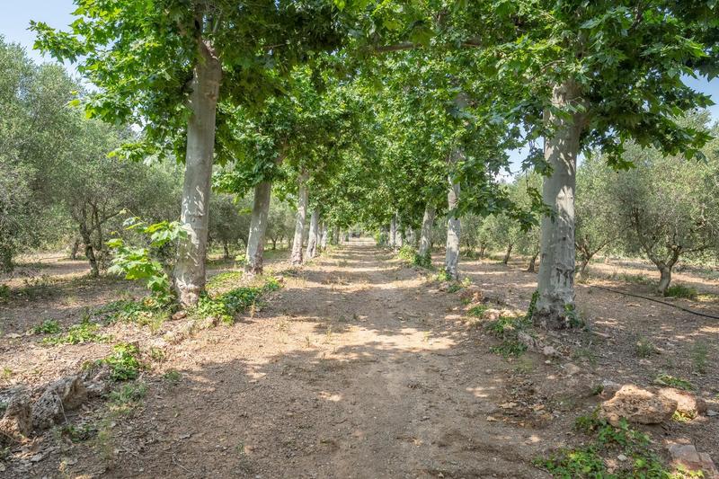 Foto 26bbdf75-694d-4380-a39b-fa89b43a61b8. Country house with pool in Mestral Reus