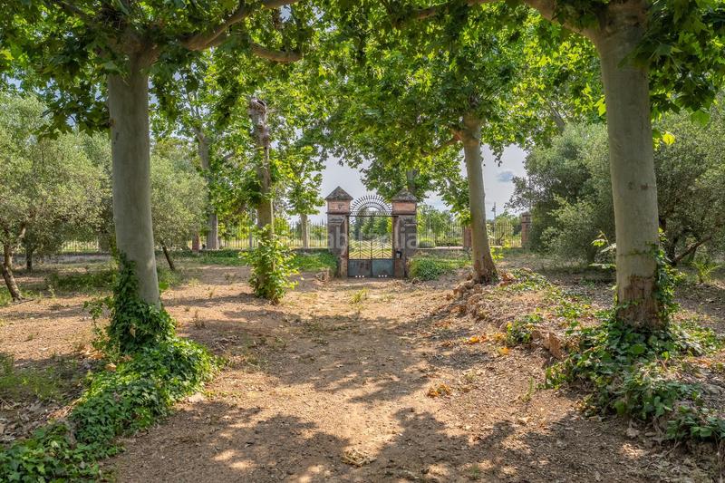 Foto 375c50c5-f94d-4422-92c8-4d3070f8ae18. Country house with pool in Mestral Reus