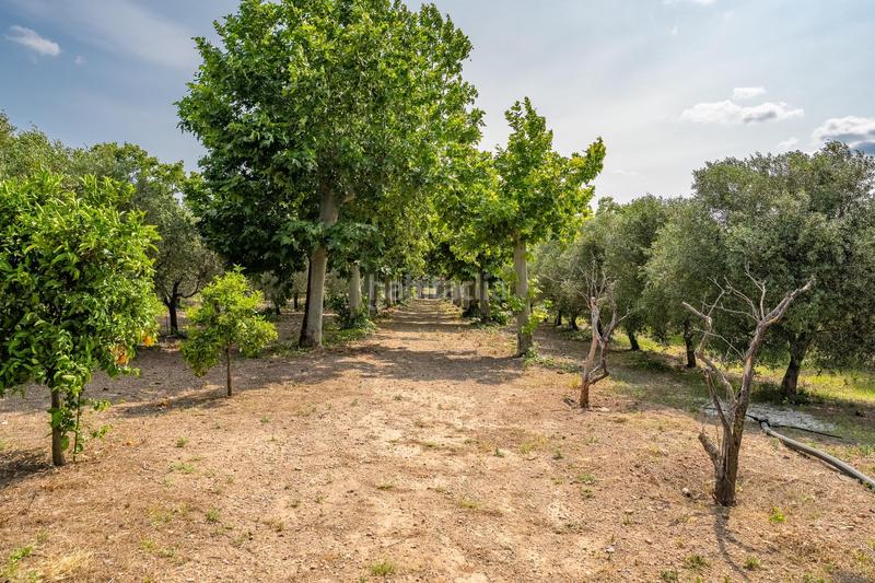 Foto 85698826-5ca7-492e-b2d6-1ecf36d80848. Country house with pool in Mestral Reus