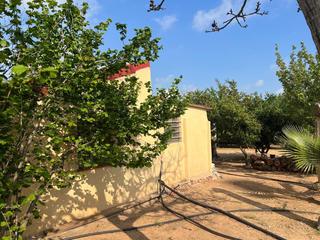 Finca rstica  La selva del camp. Finca rstica la selva del camp