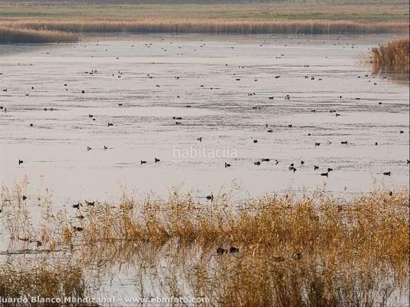 Foto 11498c26-88a4-49f4-b883-9a8ba6f1eb6c. Locale commerciale in Pitillas