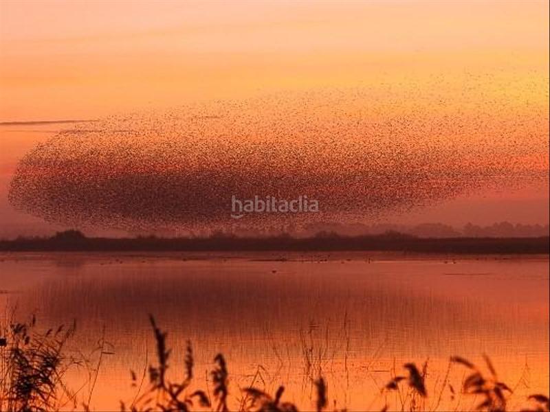 Foto 97e99732-0ec2-49da-b4e0-1cd087d64026. Locale commerciale in Pitillas