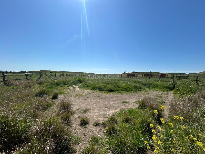 Foto efb47829-17b8-45c5-9ea6-645f203d2fbc. Locale commerciale in Pitillas