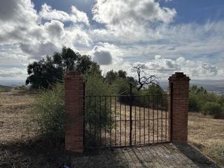 Wohngrundstück in Alcolea. Terreno en urb. los encinares de alcolea, córdoba.