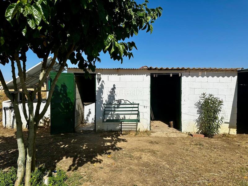 Foto b1e097ea-6a5d-4f63-b81e-9faabd38b1c1. Masía encantadora casa de campo con amplio terreno en Fuente Obejuna