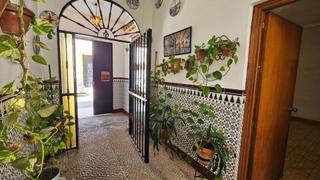 Maison  Gomez bravo. El alma de un patio cordobés