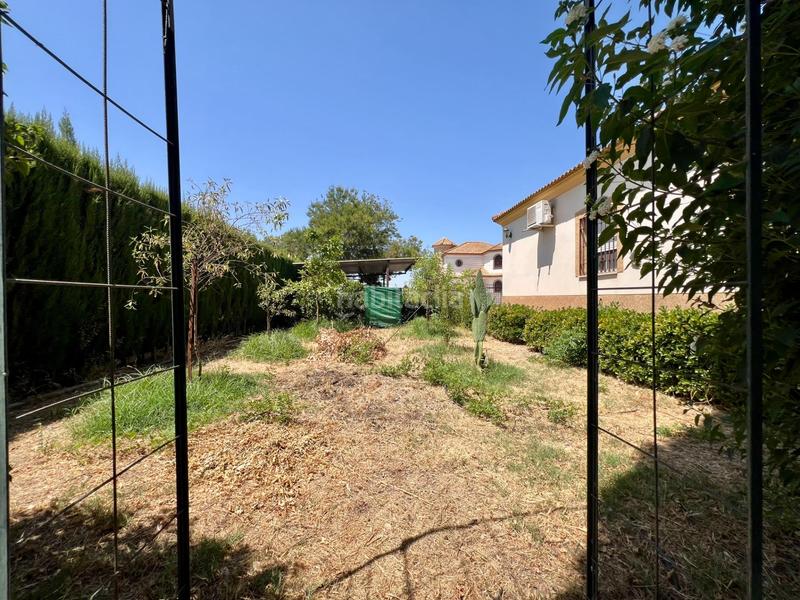 Foto 851babce-fc08-40ea-810f-a3edd9864620. Casa amb aparcament piscina a El Higuerón Córdoba