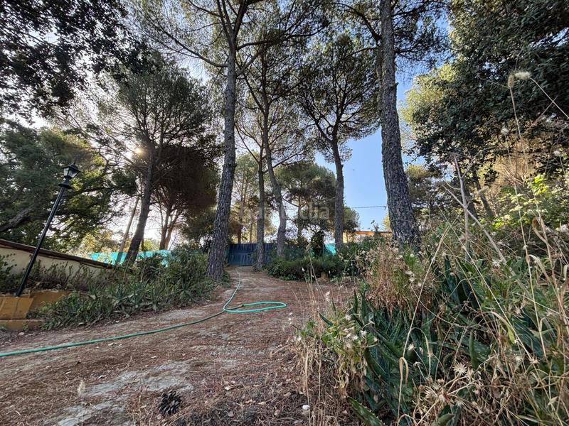 Foto d4d3db73-8c7c-45a0-8315-9cb7ab9f3ae1. Maison dans Las Jaras Córdoba