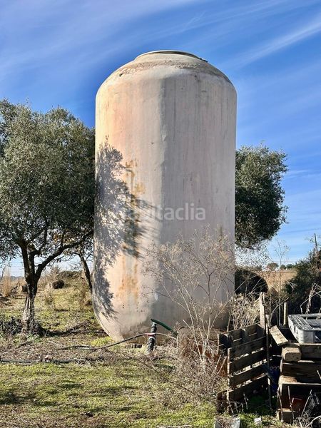 Foto 533a3ed4-3cf8-4436-9bdd-4a0e93e6f6e4. Finca rústica a Fuente Obejuna