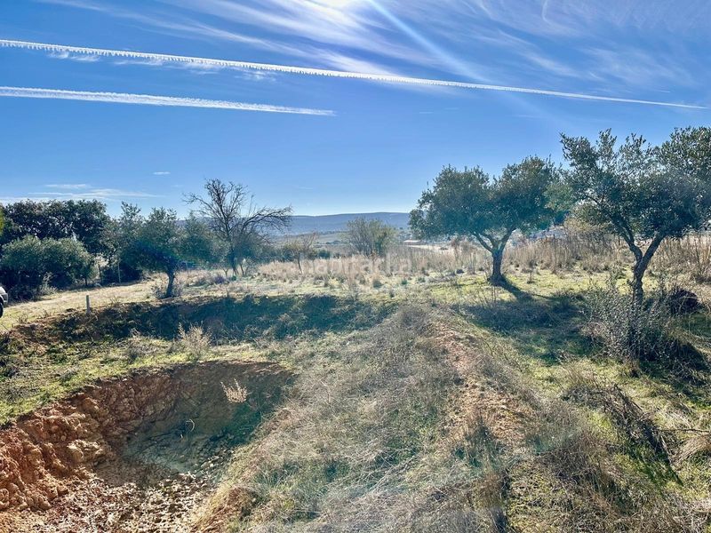 Foto f116a0fc-bd8b-4f99-8bdb-d93c295d5b76. Finca rústica a Fuente Obejuna