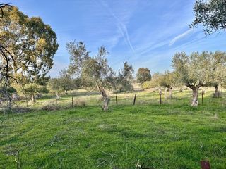 Masia a Peñarroya - Pueblonuevo