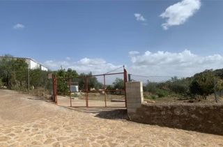 Casa a Fuente Obejuna. Parcela rustica en fuente obejuna