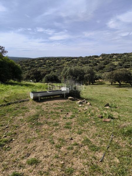 Foto 3a861387-992f-4252-8996-d9b5b04806b5. Finca rústica a Fuente Obejuna