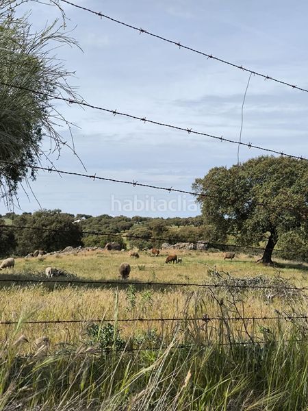Foto 48fa5e8b-4e7a-492c-9993-da97985eaca4. Finca rústica a Fuente Obejuna