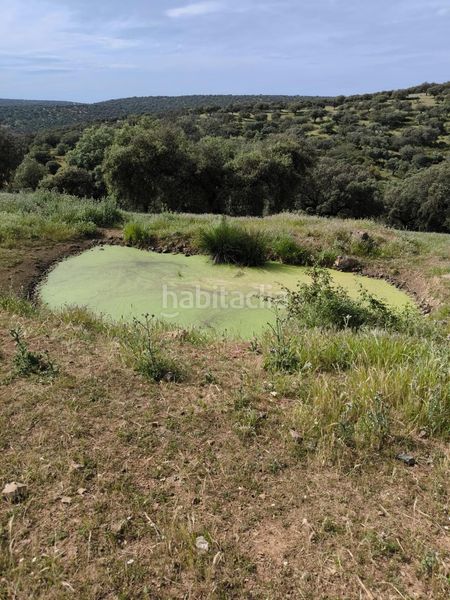 Foto 4c7df16e-d570-44e4-ae8d-9d0312df6877. Finca rústica a Fuente Obejuna