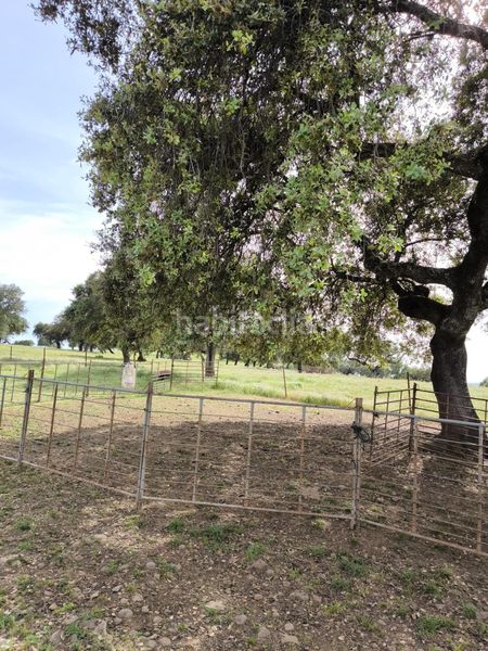 Foto 82bd1b42-e71a-4a81-b311-f1ad83aeb824. Finca rústica a Fuente Obejuna