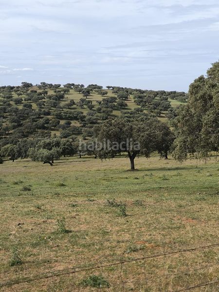 Foto 98c06f6e-4802-42f8-ae29-f65e620b7e12. Finca rústica a Fuente Obejuna