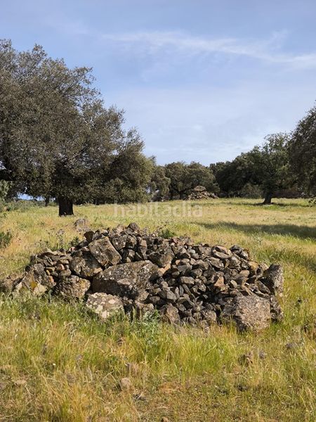 Foto b606321c-b3d3-4c5d-9976-973bf3f0770b. Finca rústica a Fuente Obejuna