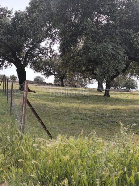 Foto ca463f1c-303f-450c-a7e2-a5b5a04e5e88. Finca rústica a Fuente Obejuna