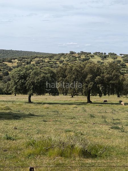 Foto db656712-a3df-4644-91a6-a00f569bf41c. Finca rústica a Fuente Obejuna