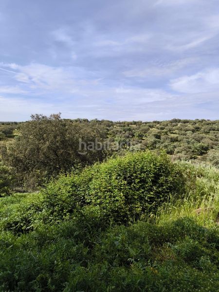 Foto e40a75a2-f3c4-48f6-b63b-05aee11460bf. Finca rústica a Fuente Obejuna