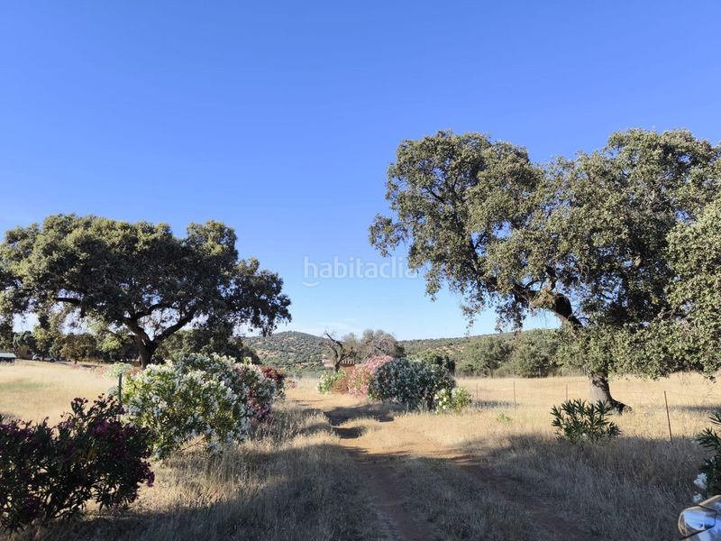 Foto 03676793-ce82-4c6e-8727-4d494bdff1d8. Finca rústica a Fuente Obejuna