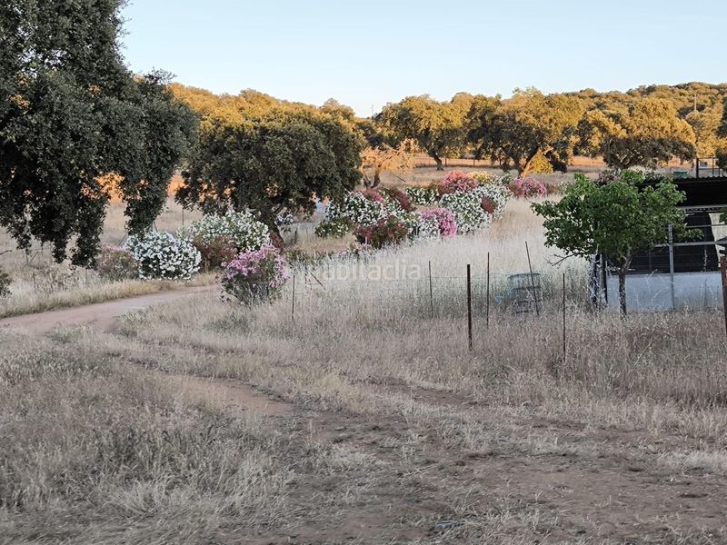 Foto b40ea81c-8b55-4a28-9c48-28f488273911. Finca rústica a Fuente Obejuna