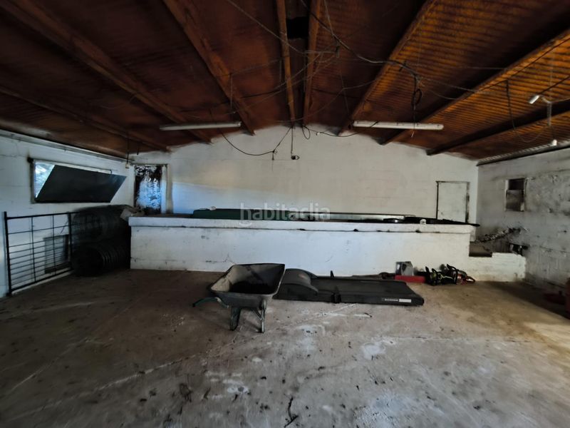 Foto ec298633-5182-41ed-8136-a82944bb9e16. Finca rústica a Fuente Obejuna