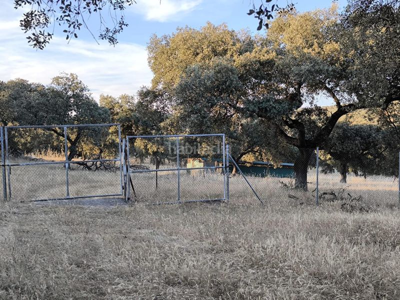 Foto fa91cc02-4660-4dc9-a13b-fd9a40bb1631. Finca rústica a Fuente Obejuna