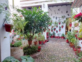 Casa en Sta. Marina - San Andrés - San Pablo - San Lorenzo
