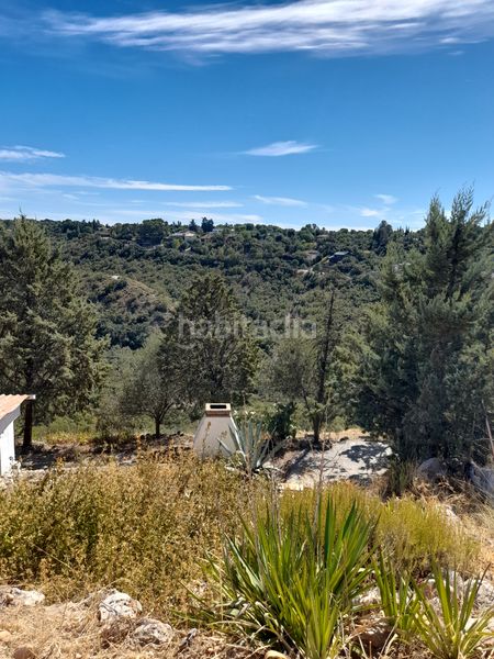 Foto cbe4ec64-129c-4f3d-8634-5b716f606390. Chalet en El Robledal Villalbilla