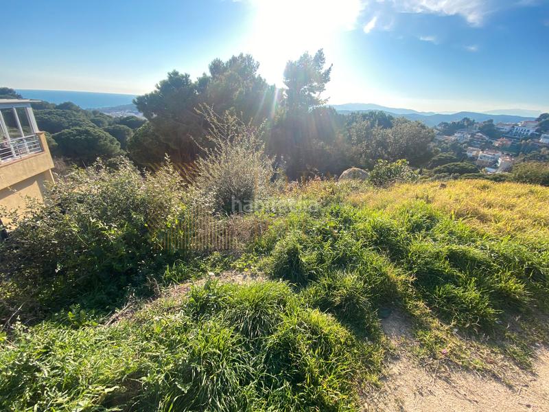 Foto 642eb797-450b-4414-97cd-821753064758. Terrain résidentiel dans Roca Grossa Lloret de Mar