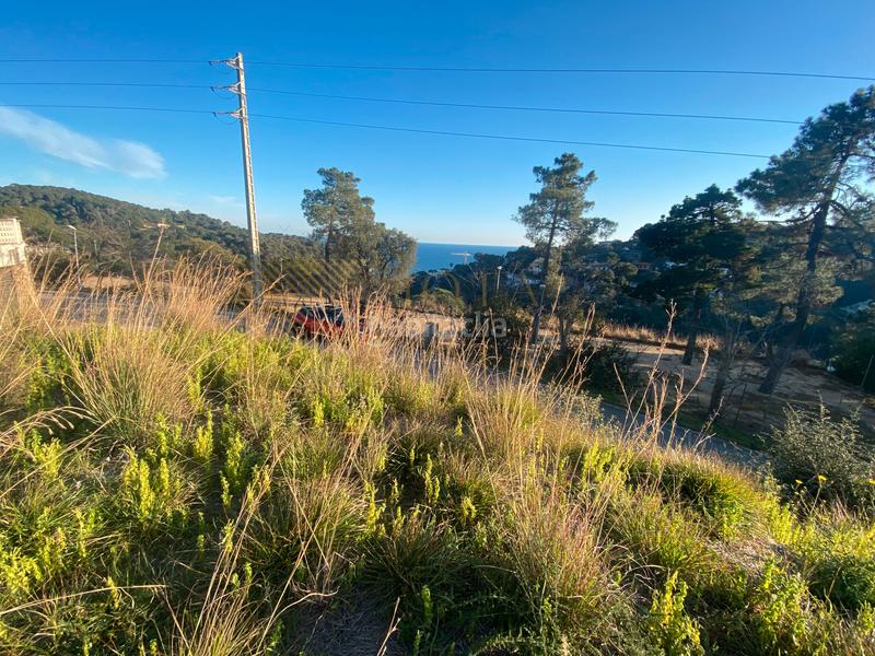 Foto 3afcb0d9-3b64-4e3d-9120-760f27189b9e. Terrain résidentiel dans Canyelles Lloret de Mar