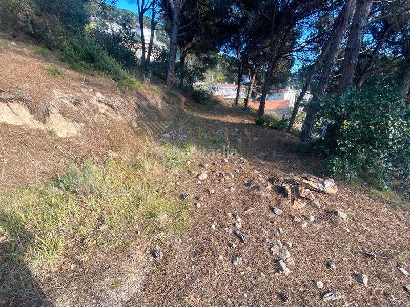 Foto 0a5da63d-321d-47dc-a3e2-b2924aca1a10. Terreno residenziale in Roca Grossa Lloret de Mar