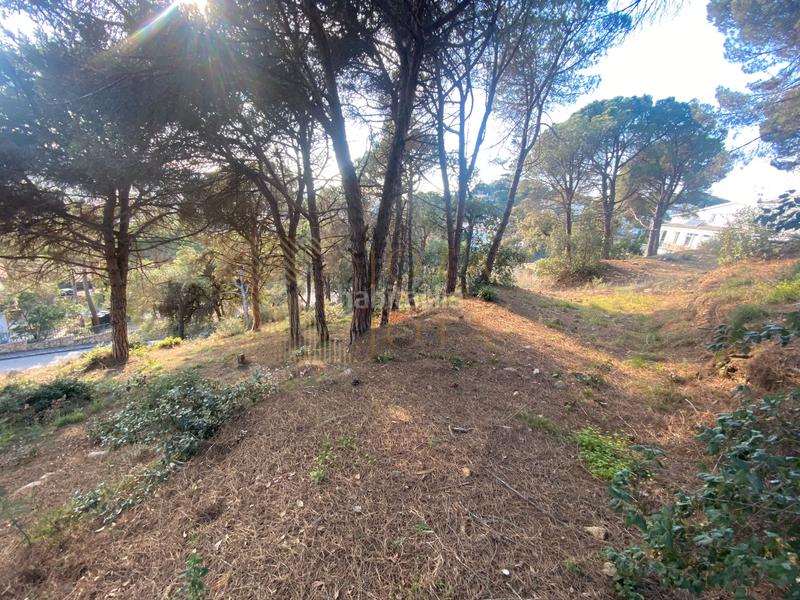 Foto 4a2b13c9-303c-4b31-a3db-9905b50af6d7. Terreno residenziale in Roca Grossa Lloret de Mar