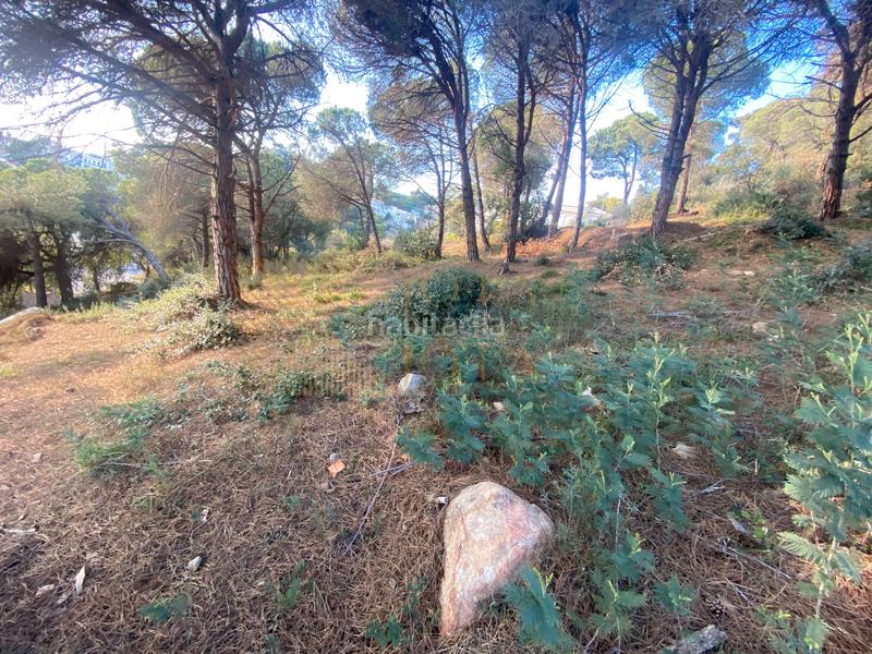 Foto 5ca20833-84df-4b15-9bdc-1bc8a9f6b2fe. Terreno residenziale in Roca Grossa Lloret de Mar