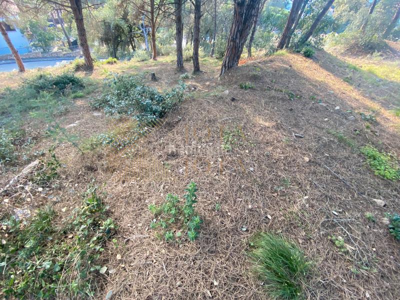 Foto 94198671-afc4-4426-aad8-1c0aea445e65. Terreno residenziale in Roca Grossa Lloret de Mar